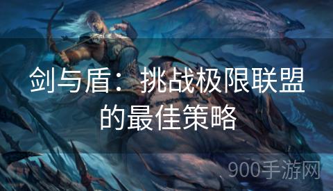 剑与盾：挑战极限联盟的最佳策略